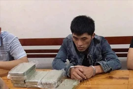 Lao national busted for illegal drug transport