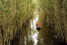 Water resources planning in Mekong Delta should be prioritised: official