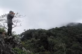 Vietnam to boost forest coverage in Central Highlands