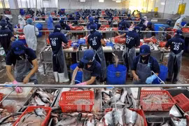 Seafood exports face barriers