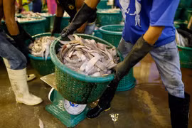 Thai gov't ramps up crusade against illegal fishing, human trafficking