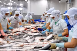 More firms hoped to ship aquatic products to Russia