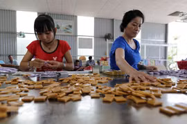 Ambassador suggests SMEs partnership a focus in VN-Russia ties