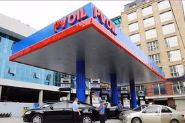 PV Oil stakes entice eight foreign investors
