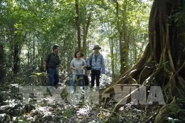 Kon Tum province uses technology to fight fires