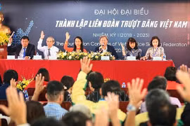 New association to promote skating in Vietnam