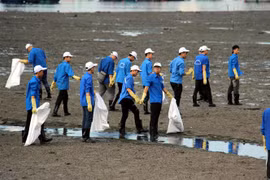 Sea and Island Week launched in Quang Ninh province