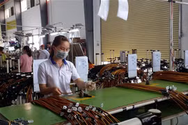 Ba Ria-Vung Tau ranks third in FDI attraction in seven months