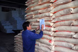 Sugar prices plunge on smuggling 