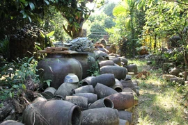 New Vietnamese archeological findings announced 