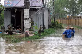 Vietnam strives hard in responding to climate change: official