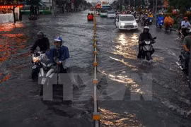 HCM City determined to seek ways to tackle urban problems