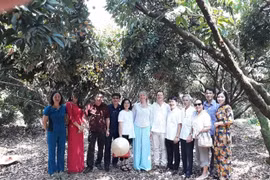 Swedish ambassador highly values quality of Thanh Ha litchi