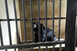 Authorities work to end illegal wildlife trading