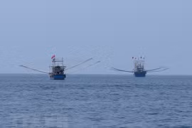 Quang Tri joins national efforts to combat illegal fishing