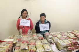 Biggest ever drug case in Vietnam uncovered