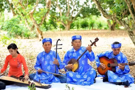 Binh Duong spends big to preserve “Don ca tai tu” art