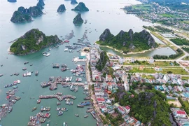 Experts discuss management models for economic zones