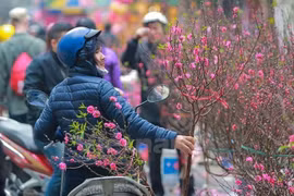Drastic activities conducted to ensure warm Tet for the needy