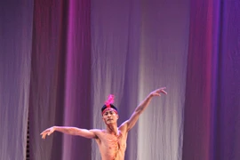 Russian contemporary ballet to be performed in Hanoi