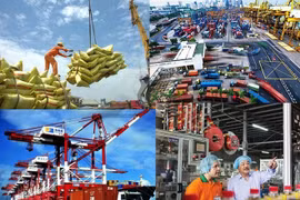 Vietnamese businesses upbeat about trade
