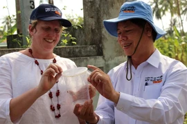 More anti-dengue mosquitoes released in Vietnam