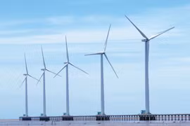 Investors eye wind power development in Soc Trang