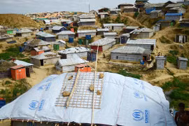 Myanmar to form independent inquiry commission on Rakhine issue