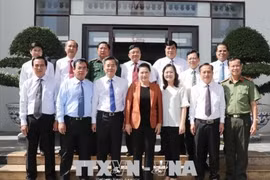 Bac Lieu urged to tap wind power potential 