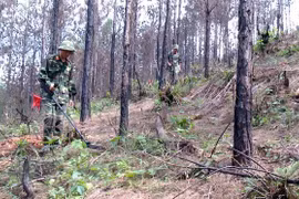 Training course on UXO actions opened for military officials