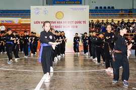First festival of Vietnam’s martial arts wraps up