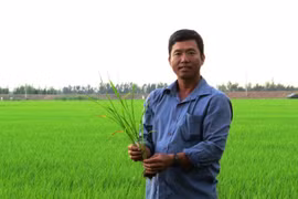 Dong Thap farmer profits from thinking big