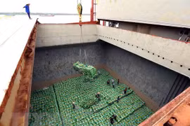 Wide door for Vietnamese rice export 