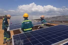 Vietnam prioritises green growth: IPS