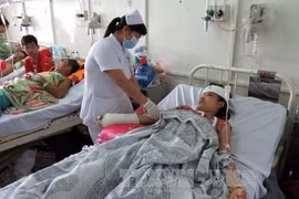 HCM City hospitals open for Tet