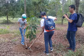 New plants ensures biodiversity in Dong Nai Biosphere Reserve