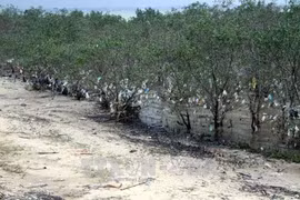 Vietnam seeks new approaches to natural resource preservation