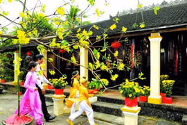 “Xong Dat” – A cherished Lunar New Year tradition 
