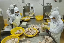 Vietnam moves to develop responsible fishery industry