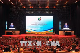 First-ever GMS Business Summit opens in Hanoi