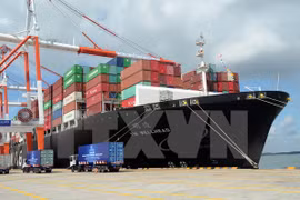 Thi Vai international port begins operation