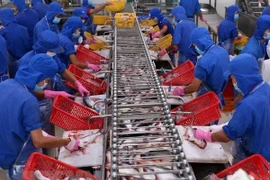 Tra fish exports to US enjoy strong surge