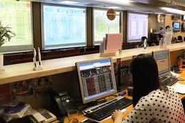 VN Index bounces back after nosedive in previous trading session