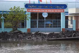 More capital to be poured into Mekong Delta to address erosions
