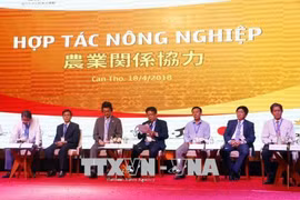 Can Tho city woos Japanese investors 