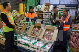 Vietnam’s fruit, vegetable exports up 33.4 percent in Q1
