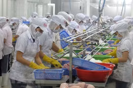 Tien Giang: Investment sees 2.3-fold increase in H1