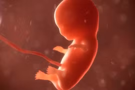 More efforts urged to prevent baby trading 