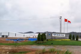 Vietnam, Singapore boast cooperation potential