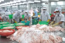 Exports of tra fish earns 438 million USD in three months